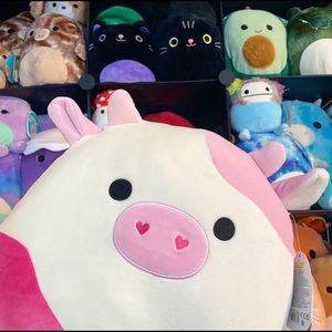 Caedyn the cow Squishmallow 12”